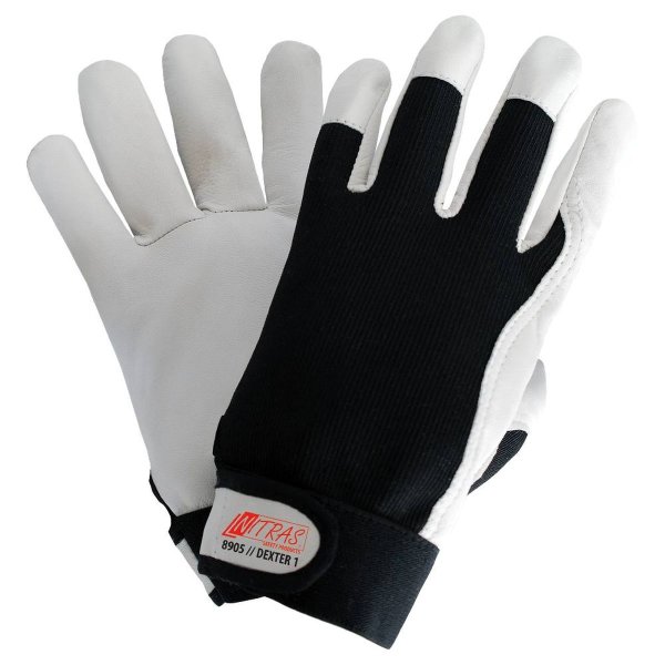 Nitras Dexter - Handschuhe 11