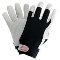 Nitras Dexter - Handschuhe 11