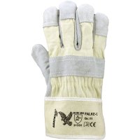 Asatex Lederhandschuh Falke-C - Lederhandschuhe