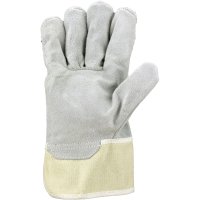 Asatex Lederhandschuh Falke-C - Lederhandschuhe