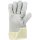 Asatex Lederhandschuh Falke-C - Lederhandschuhe